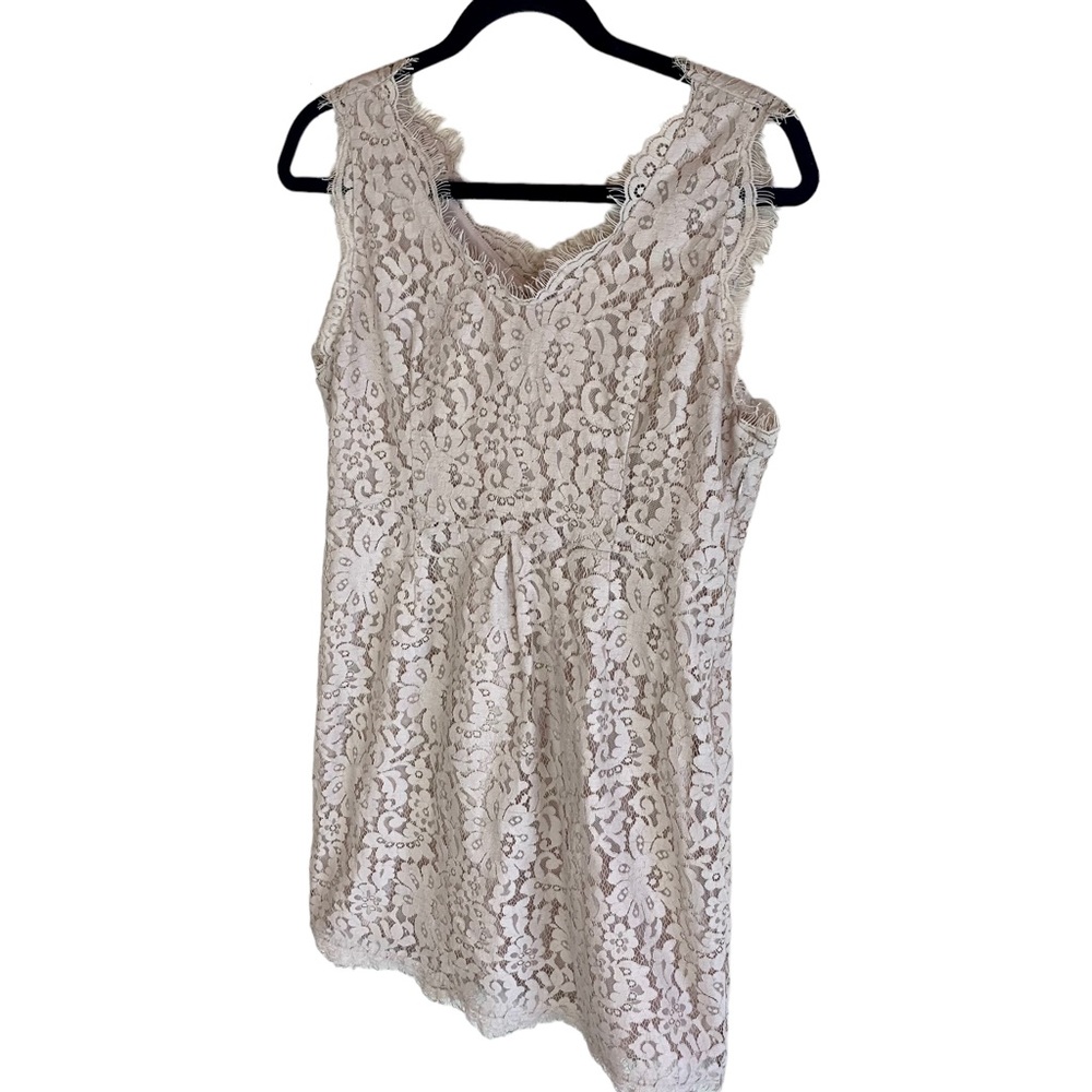 Joie Rori Lace Fringe Mini Dress Mushroom Tan Champage - Picture 3 of 14